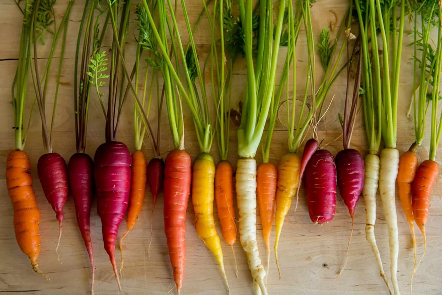 Colored carrots 11 Carrots-color_.jpg