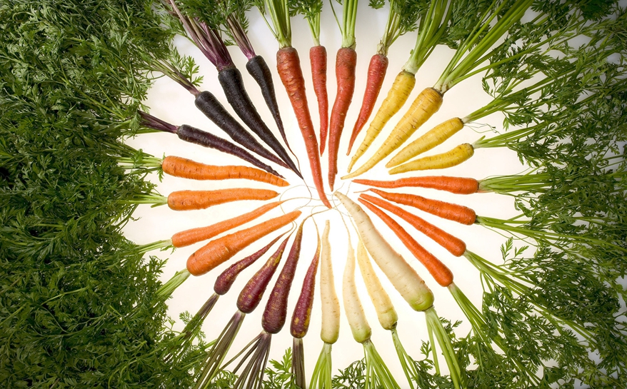 Colored carrots 22 R-C_.jpg
