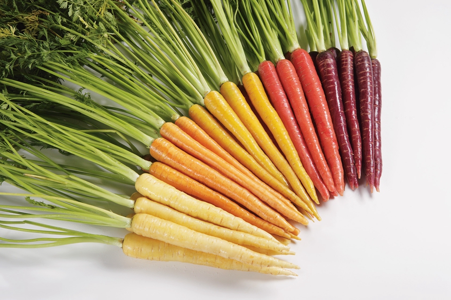 Colored carrots 44 NWE_CAC_US_ColoredCarrotBunchRainbow_.jpg