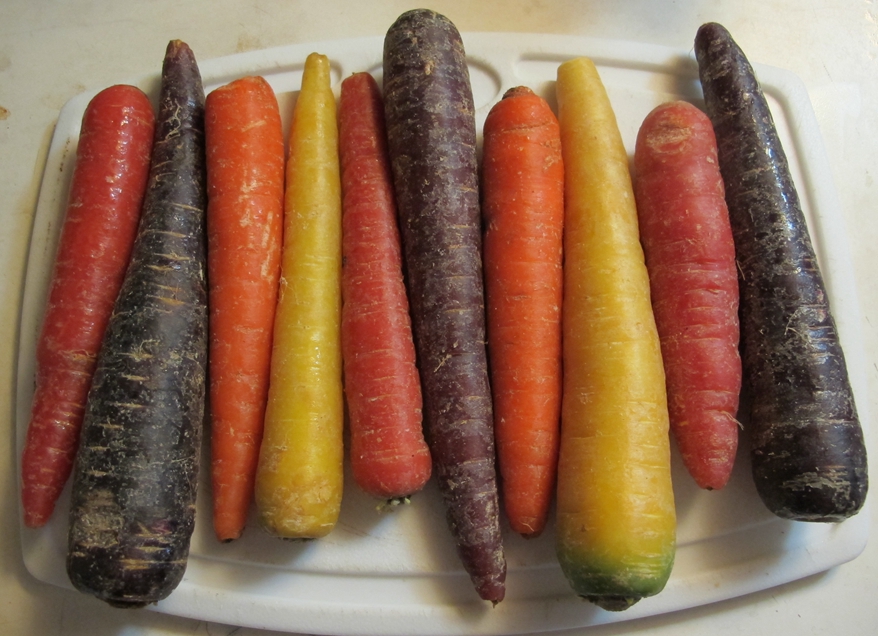 Colored carrots 55_.jpg