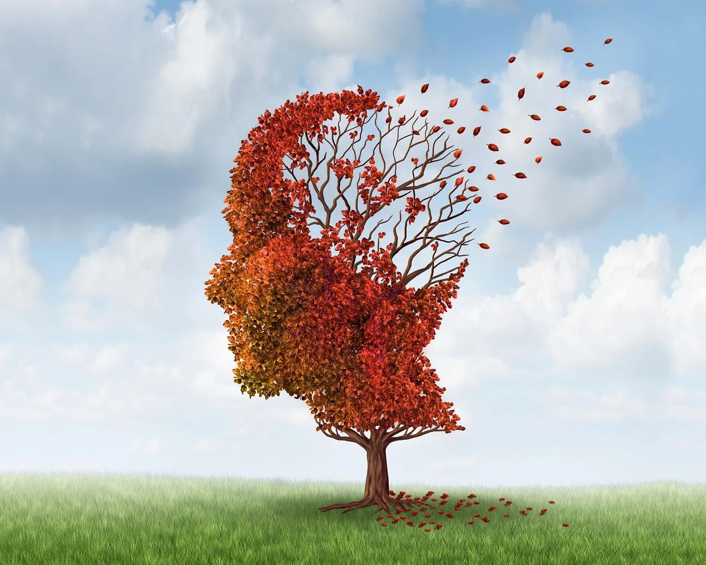 Dementia-Declining-Brain-Cognition.webp.jpg
