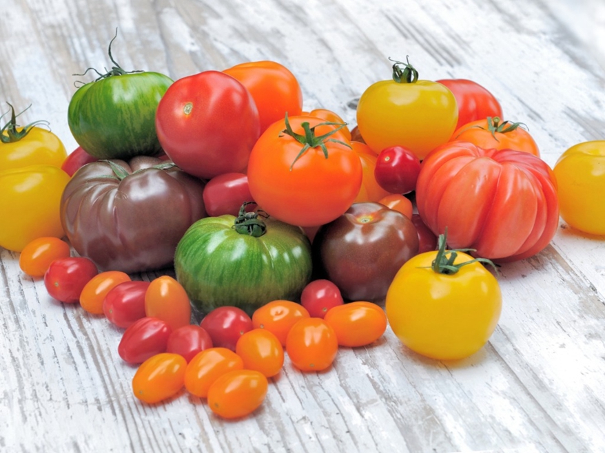 Colored tomato 22_.jpg