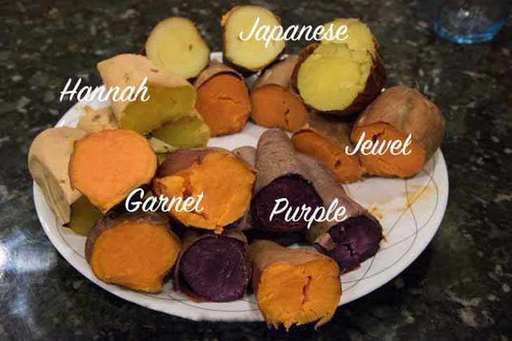 Types of Sweet Potatoes (With Images) and Why You 22.jpg