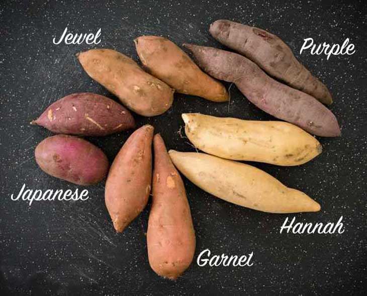 Types of Sweet Potatoes (With Images) and Why You 11.jpg