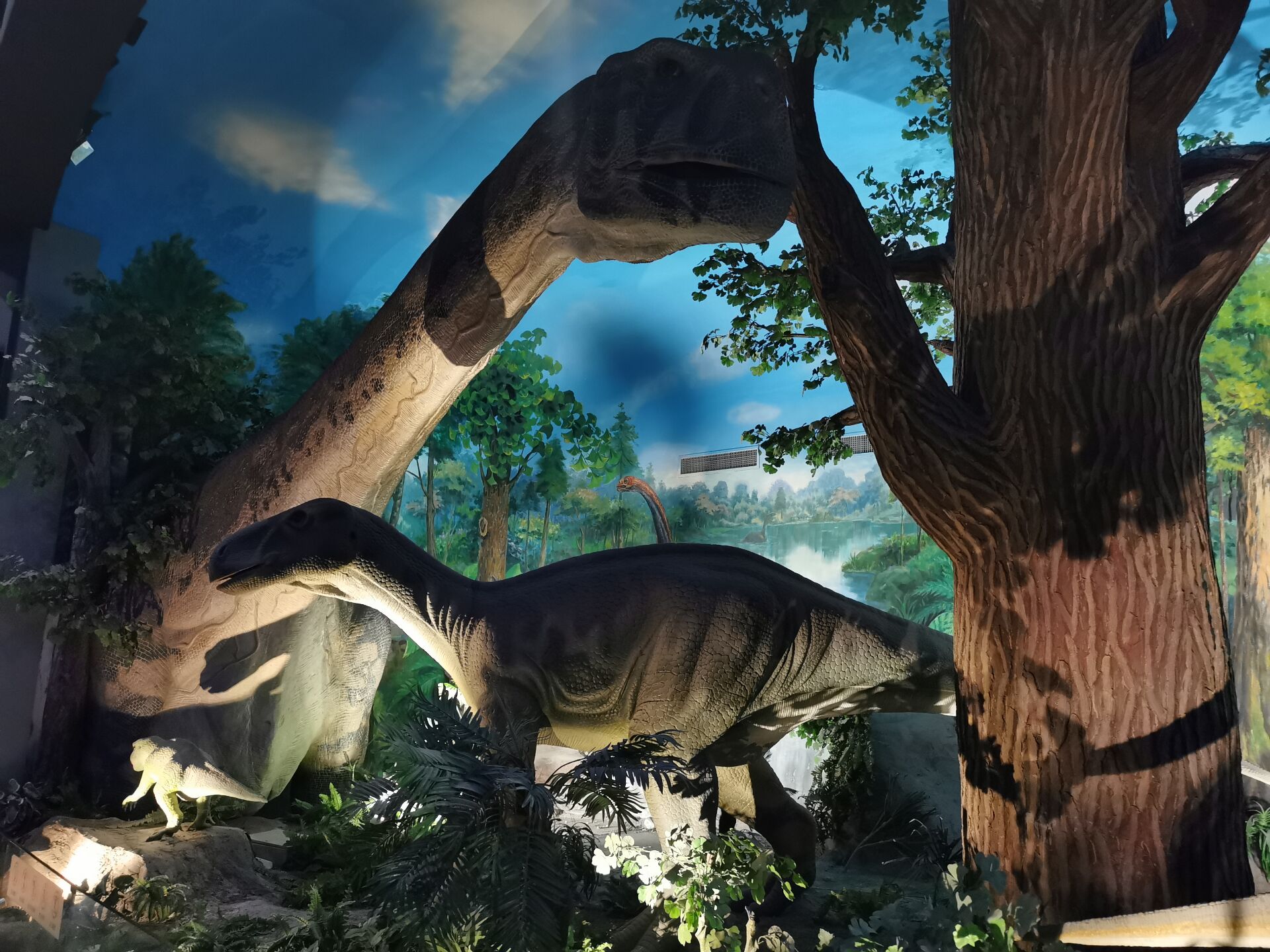 《侏罗纪世界3》上映，河北地质大学恐龙博物馆带你探秘恐龙世界_化石_天镇_电影