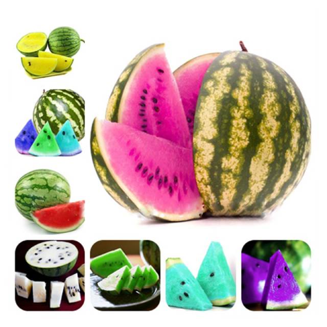 ɫ 06 20 Pcs Mix Watermelon Bonsai Yellow Blue White Red Flesh Sweet Fruit.jpg