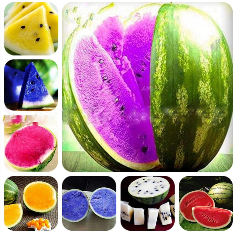 ɫ 08 20-pcs-Colorful-Watermelon-bonsai-Very-Easy-Grow-S - Best Seeds .jpg