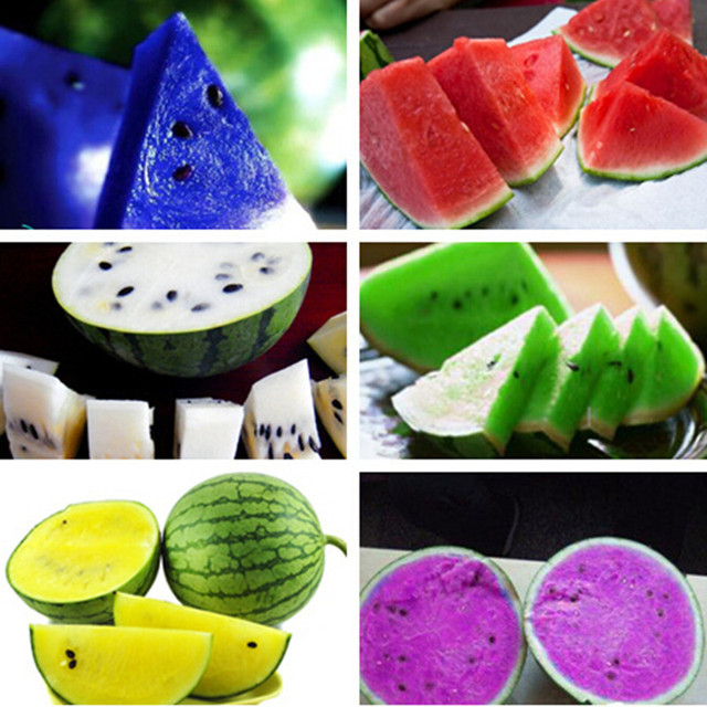 ͼ10  Hot-sale-Watermelon-seeds-10pcs-fruit-vegetable-seeds-Garden-Home-plant-B.jpg