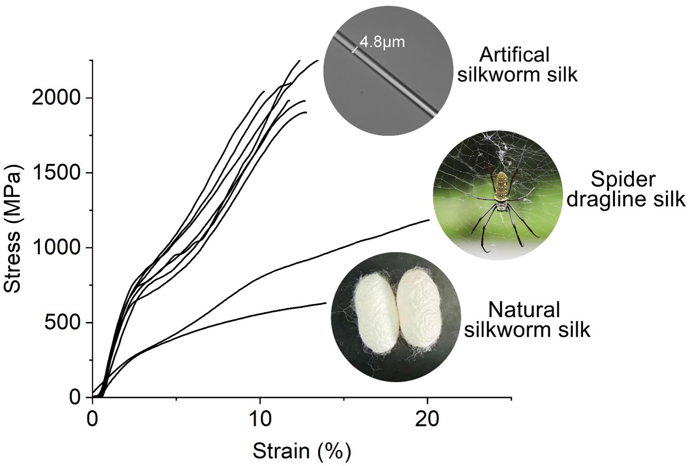 Stress-Strain-Curves-of-Representative-Artificial-and-Natural-Silks.jpg