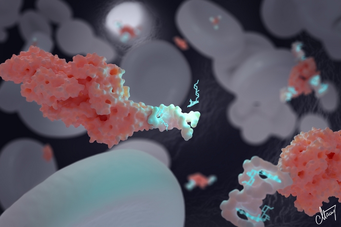 DNA-Nanotransporters-to-treat-cancer.webp.jpg