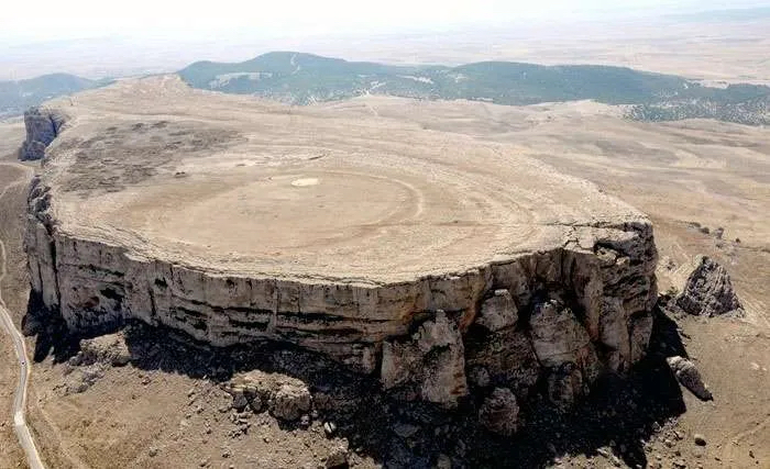 突尼斯的Jugurtha Table Mountain-Henry-象树化石木化石的山1.jpg