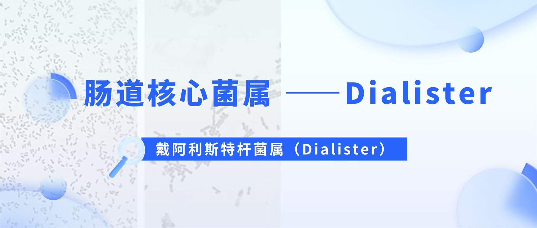 ˹ظ˾ Dialister.png
