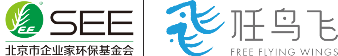 SEE 任鸟飞 logo.png
