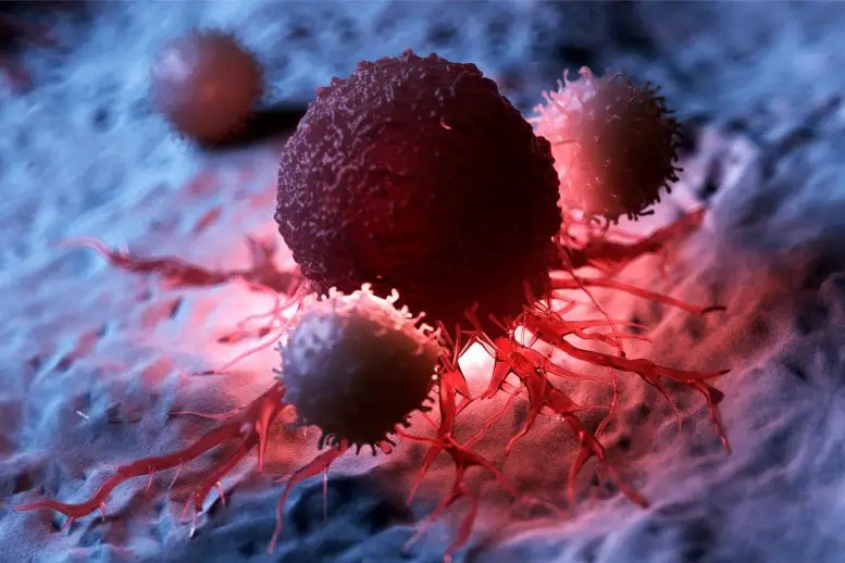 White-Blood-Cells-Attacking-Cancer-777x518.webp.jpg