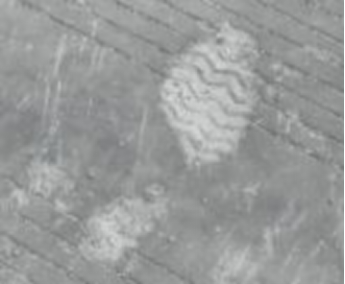 ͼƬ1.png