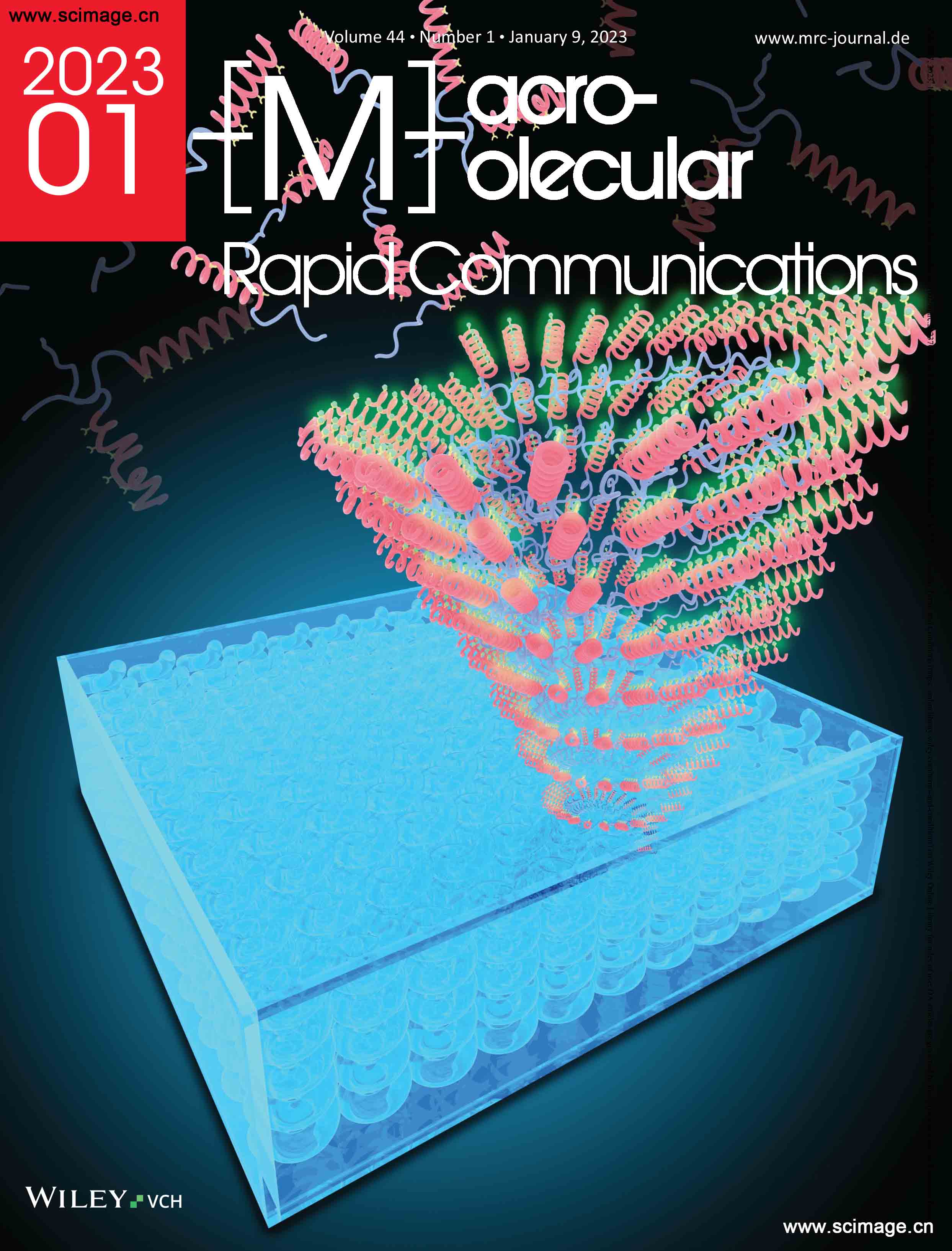 Macromolecular Rapid Communications - 2023 - Puneet - Induced Circular Dichroism.jpg