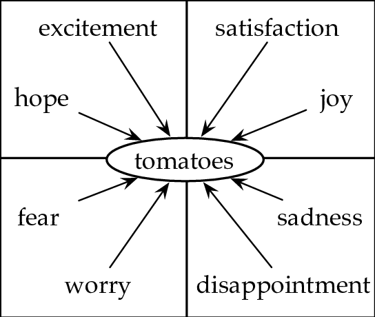 Pattern-of-emotions-with-a-common-focus.png