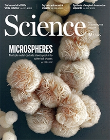 science.2023.379.issue-6638.cover.webp.jpg