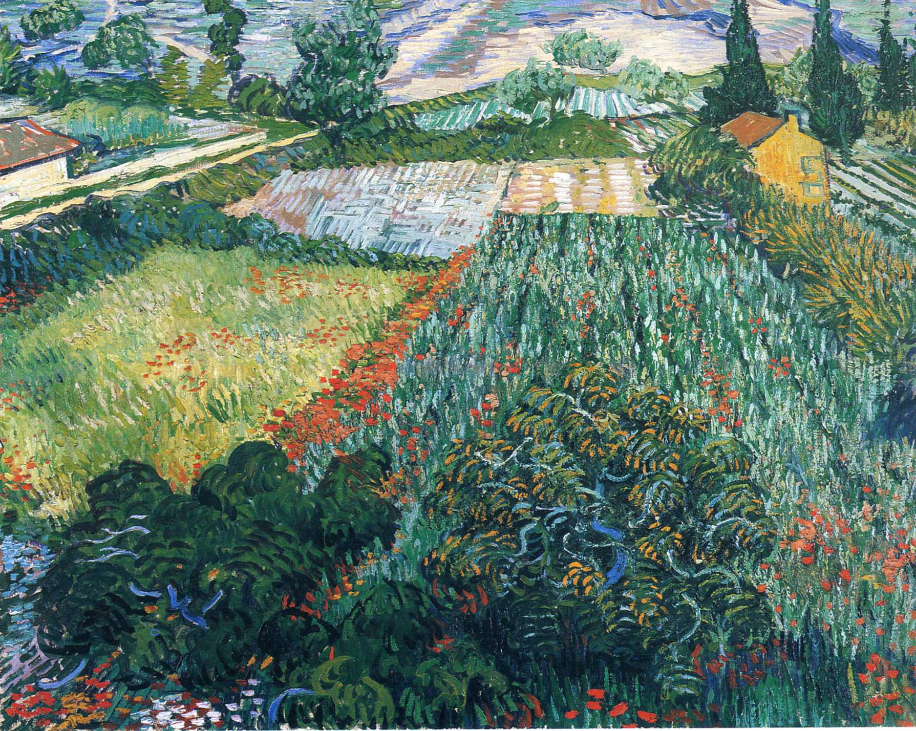 Van Gogh June 1889  Field with Poppies 11 .jpg