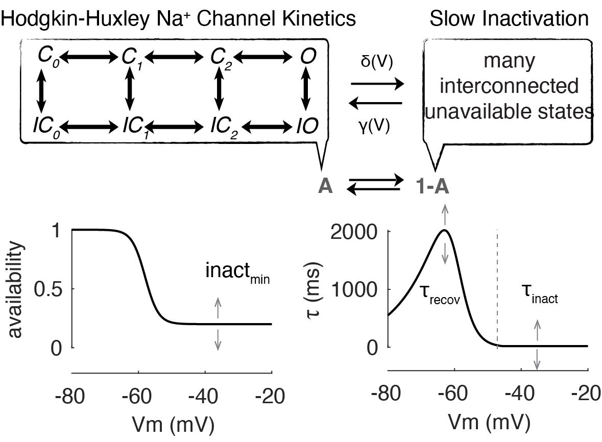 Figure2.png