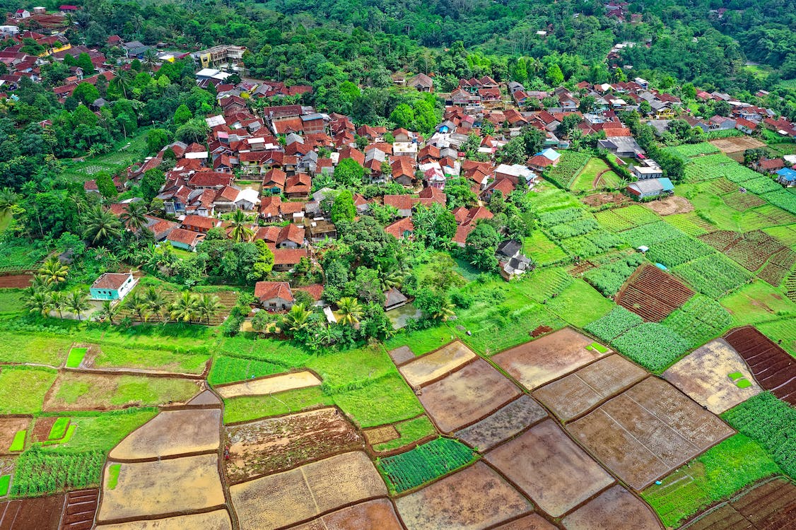 Aerial Photo of Houses   pexels-photo-1743482.jpeg
