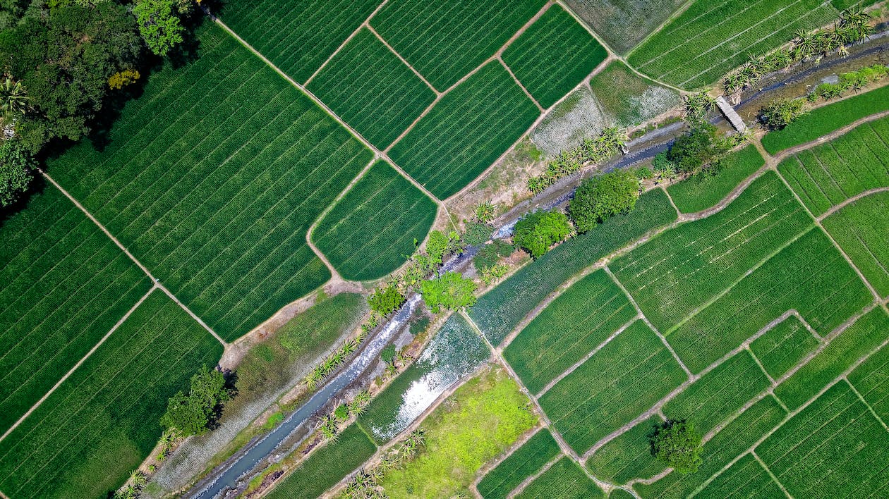 Bird's Eye View of River in Middle of Green Fields   pexels-photo-1483880.jpeg
