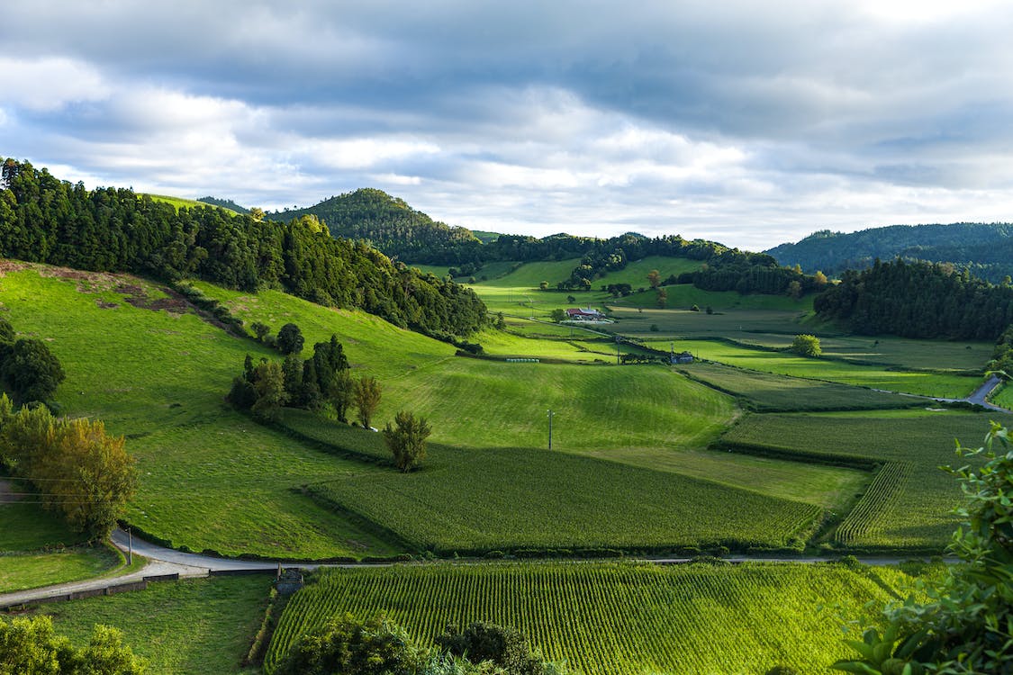 Landscape Photography of Green Grass Field   pexels-photo-3013440.jpeg