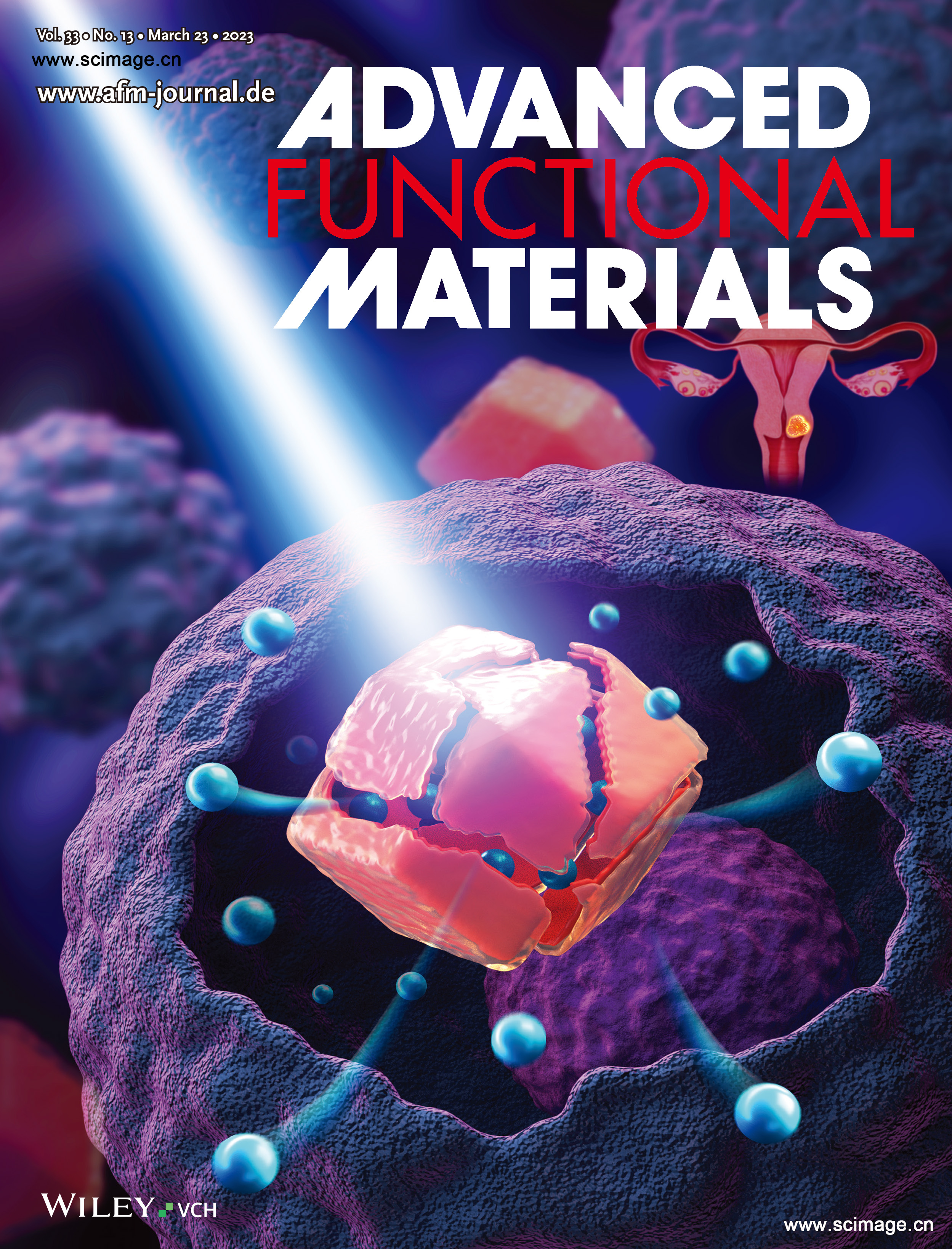 Adv Funct Materials - 2023 - Pan - X\Ray\Responsive Zeolitic Imidazolate Fra.jpg