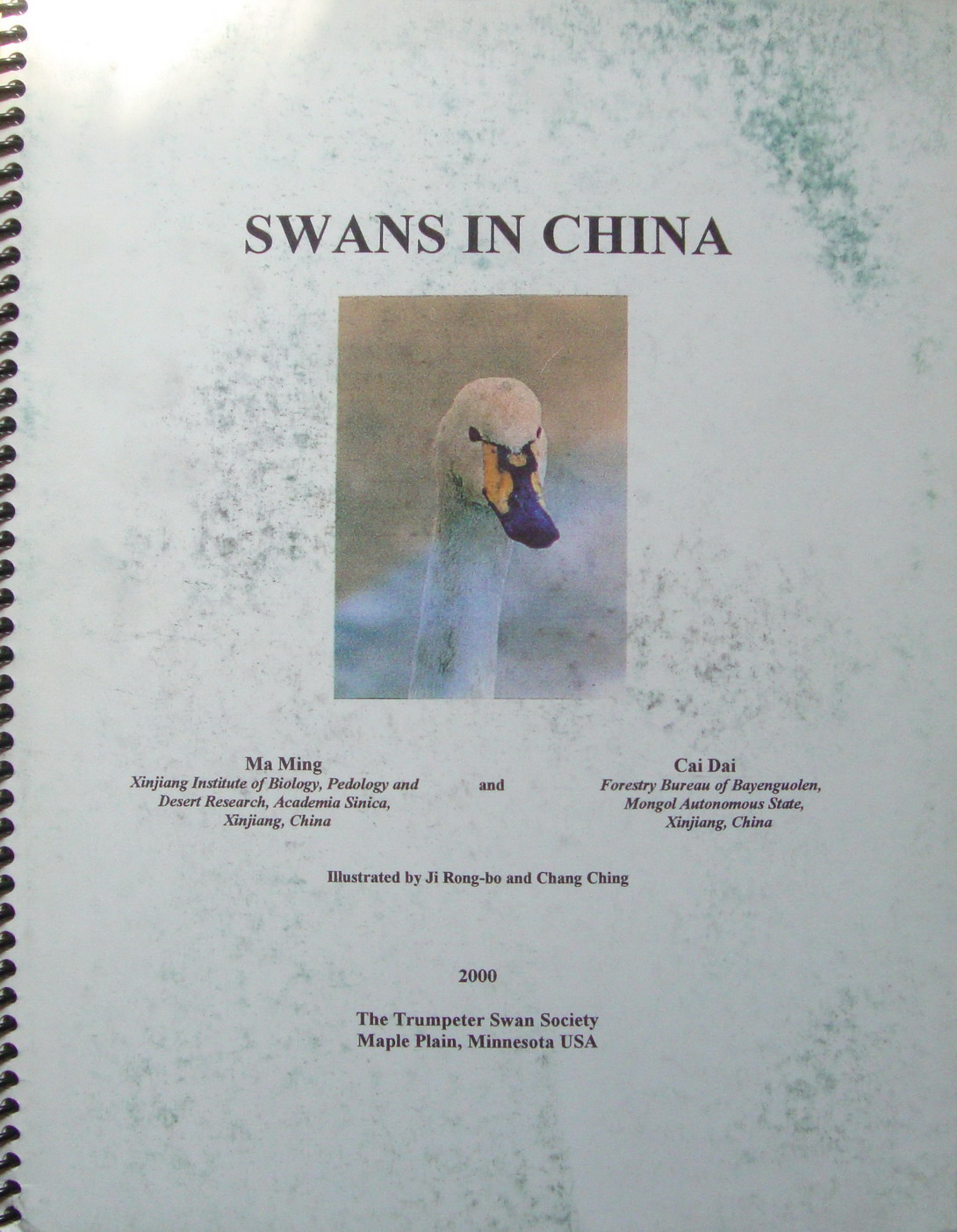 й Swans in China_2000_by MaMing and Cai Dai.jpg