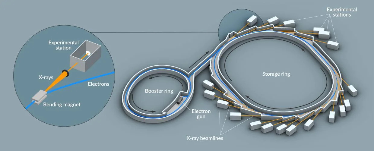 This illustration depicts the basic components of a synchrotron light source, su.jpg
