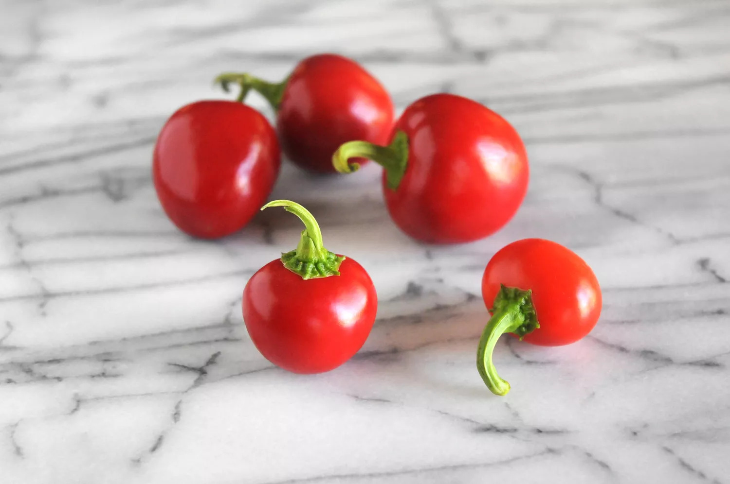 Cherry peppers JanetRhodes-f1571f8079ff400889898ba893610ab5.jpg