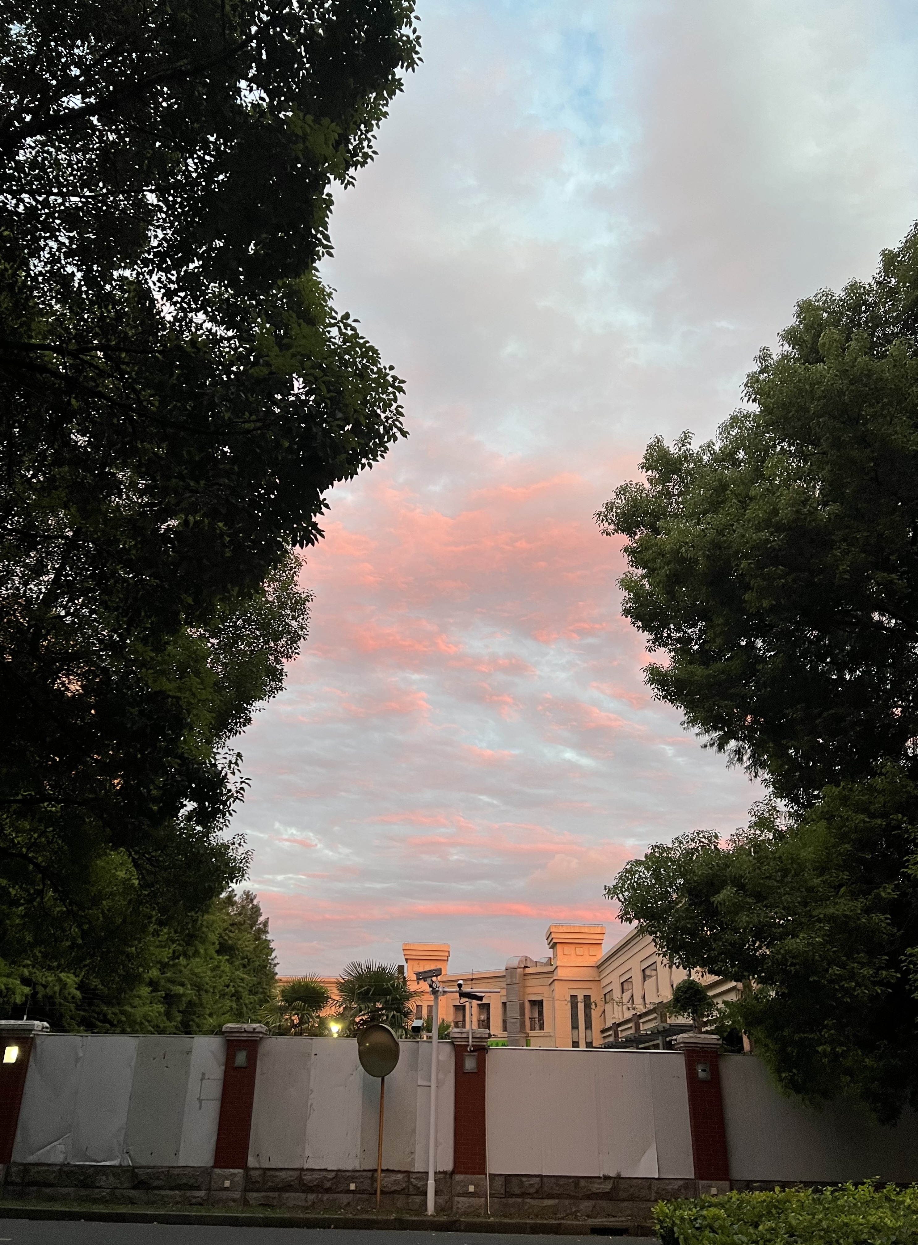 IMG_3171.jpeg