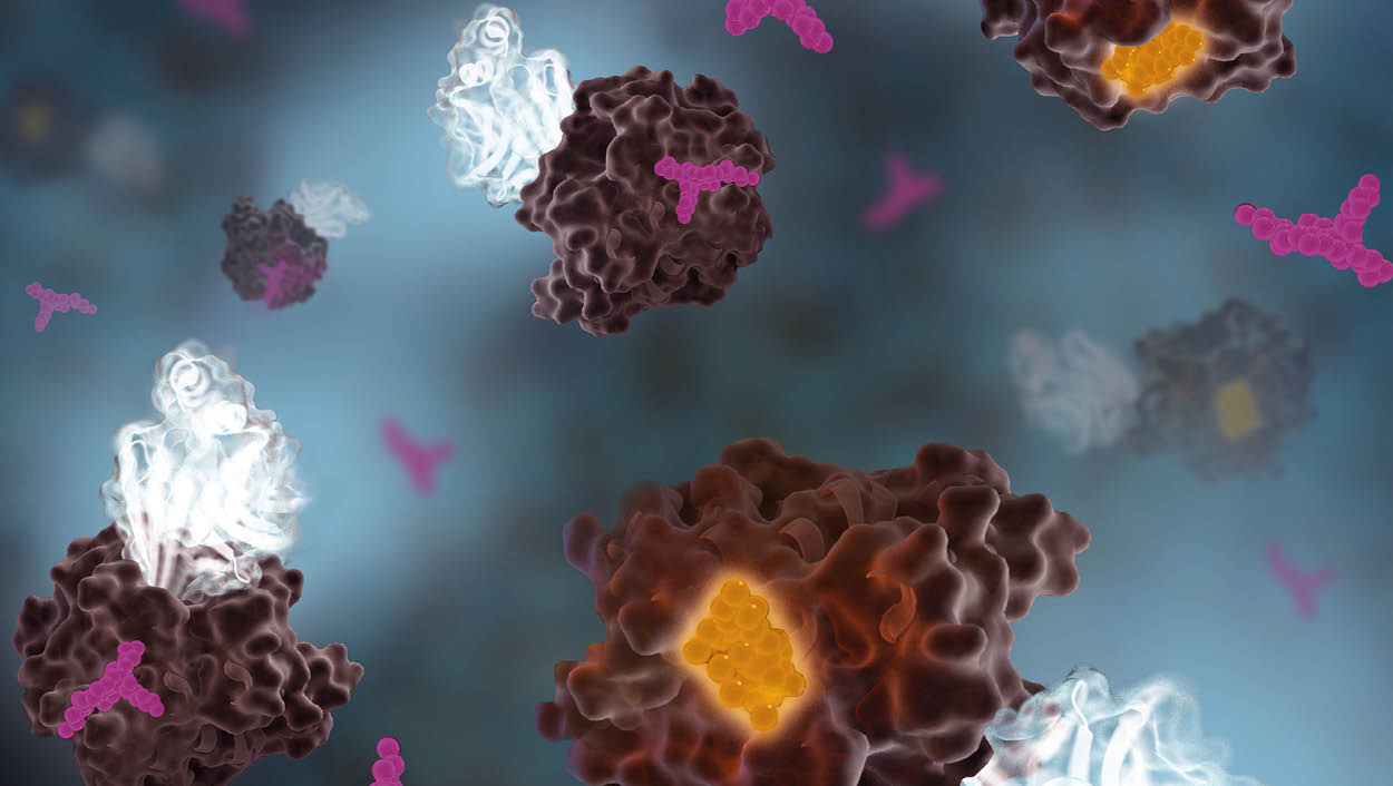 protein-protein-interactions-nanoluc-based-nanobret.jpg