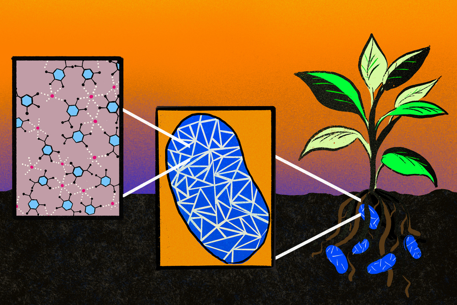 MIT-Microbial-Fertilizer-01-press_0.jpg