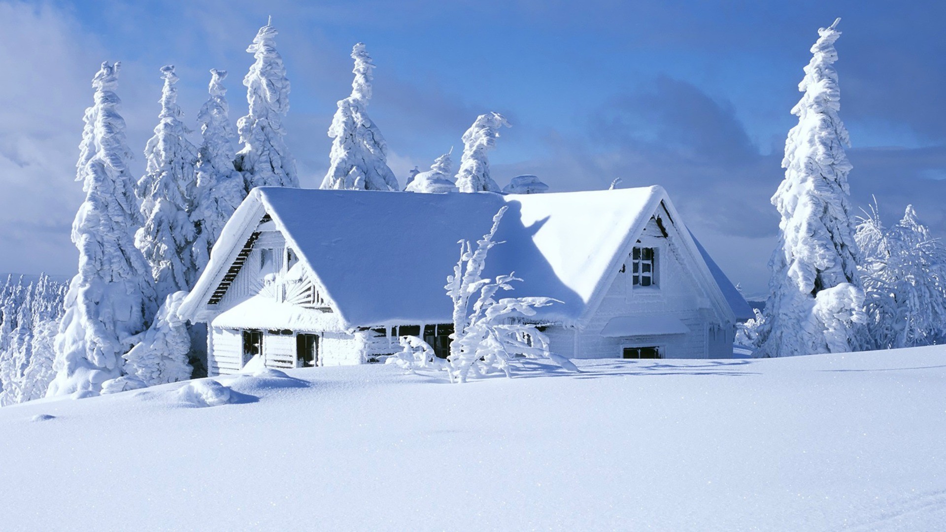 Nature snow forests houses house wallpaper 1920x1080.jpg
