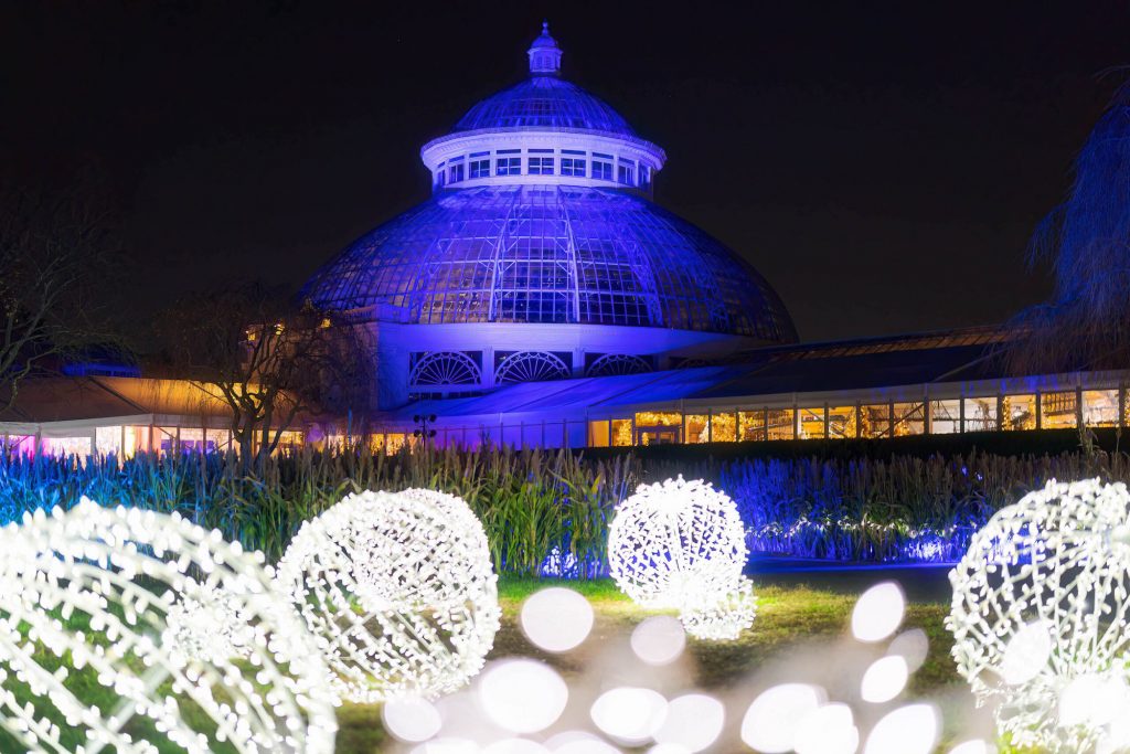 NYBG-Glow-Pollen-Puffs-1024x683.jpeg