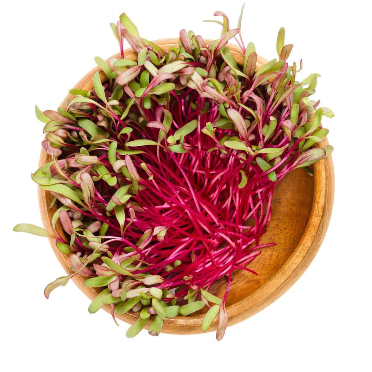 2-Beet-Sprout.jpg