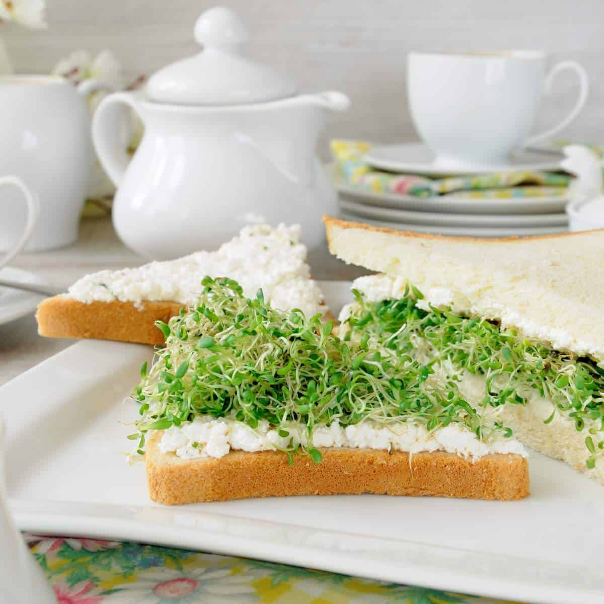 6-Sprouted-Alfalfa-Sandwich-with-Soft-Ricotta.jpg