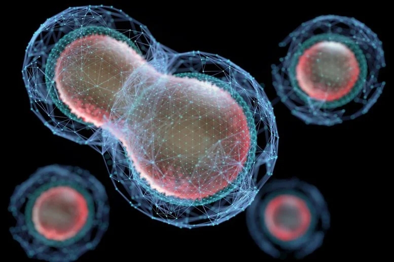 Cells-Splitting-Meiosis-Biotechnology-777x518.webp.jpg