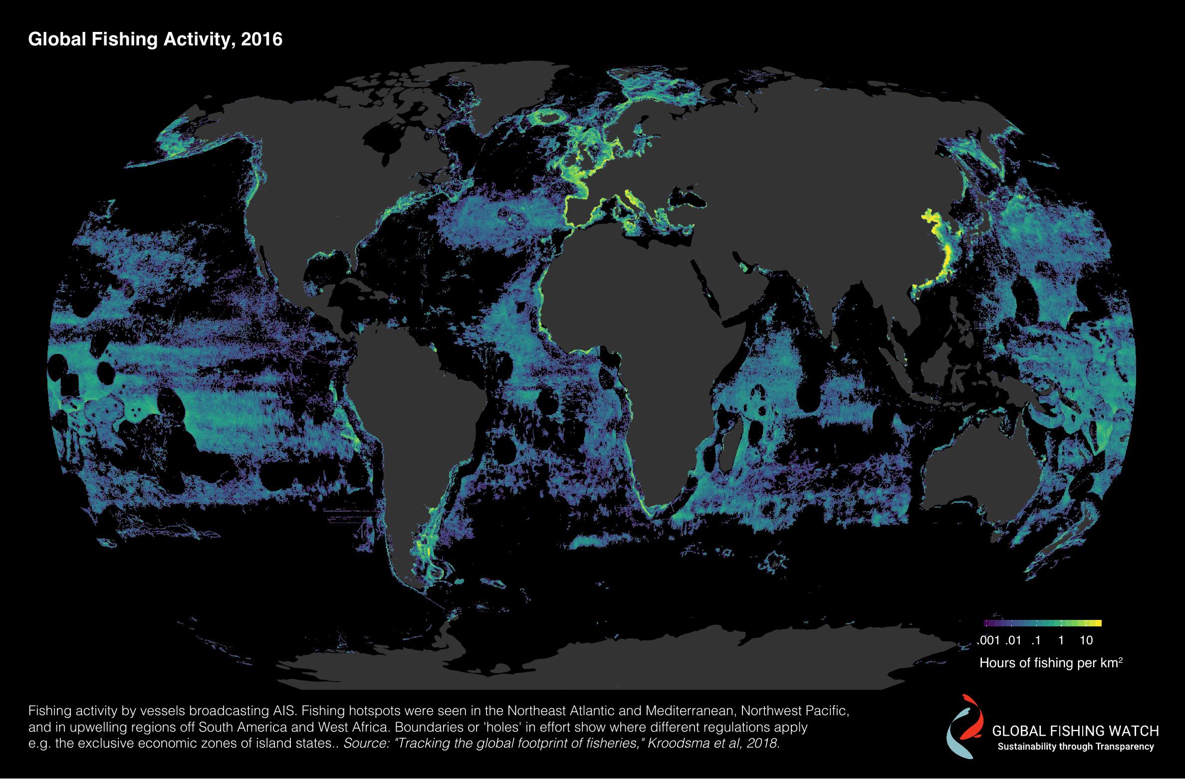 Global-fishing-activity 2016.jpg