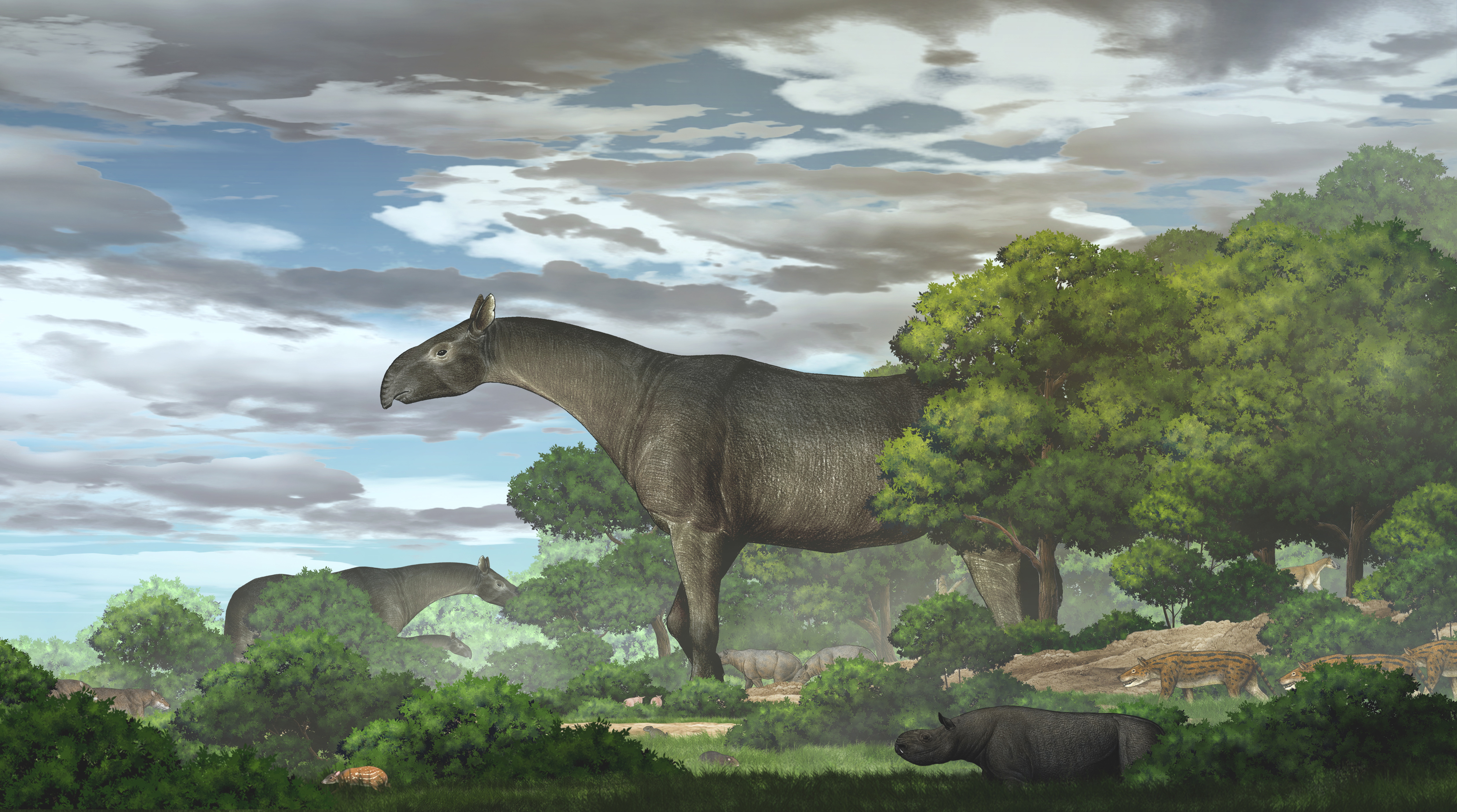 Ecological reconstruction of giant rhinos and their accompanying fauna in the Li.jpg
