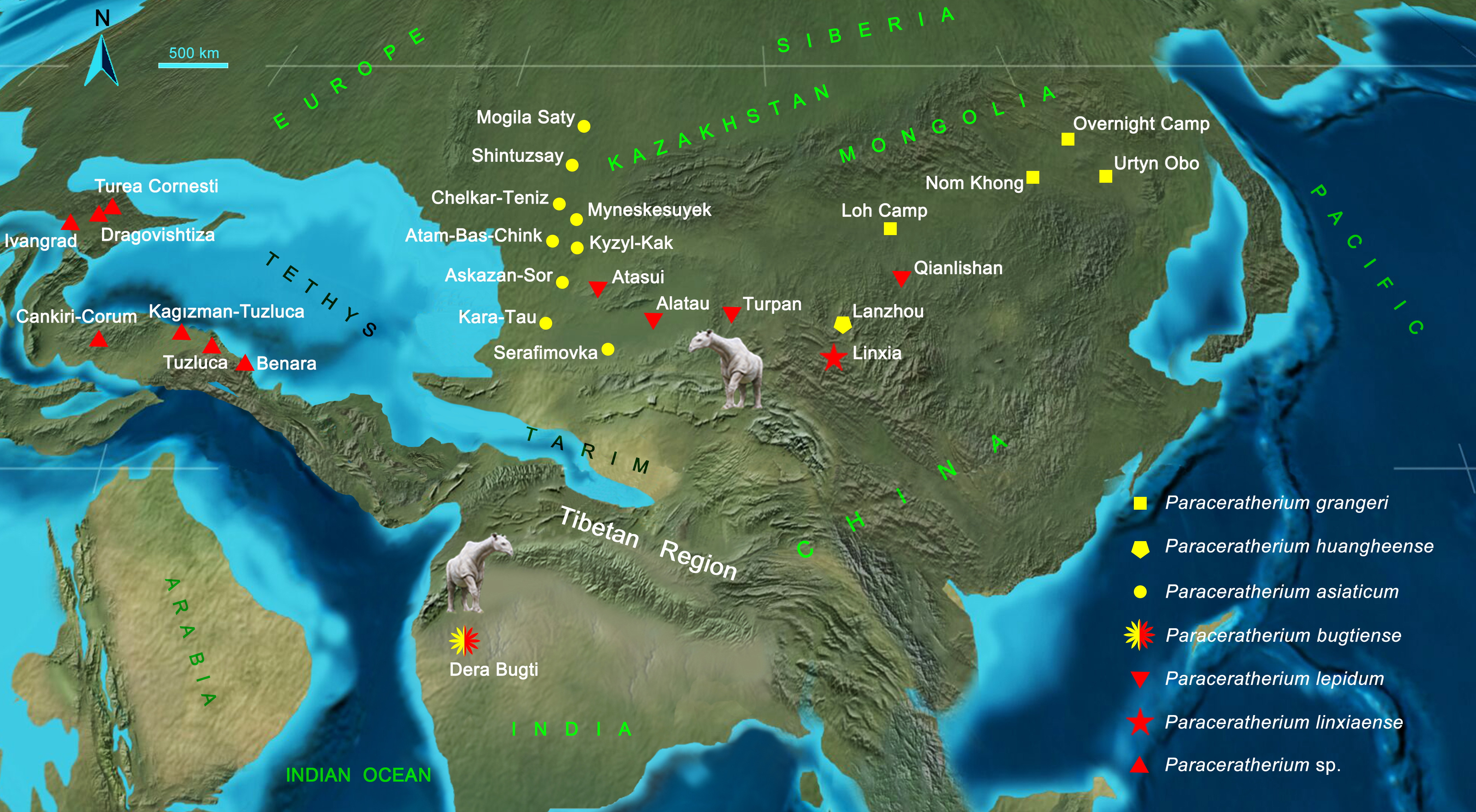 Distribution and migration of Paraceratherium in the Oligocene Eurasia.jpg