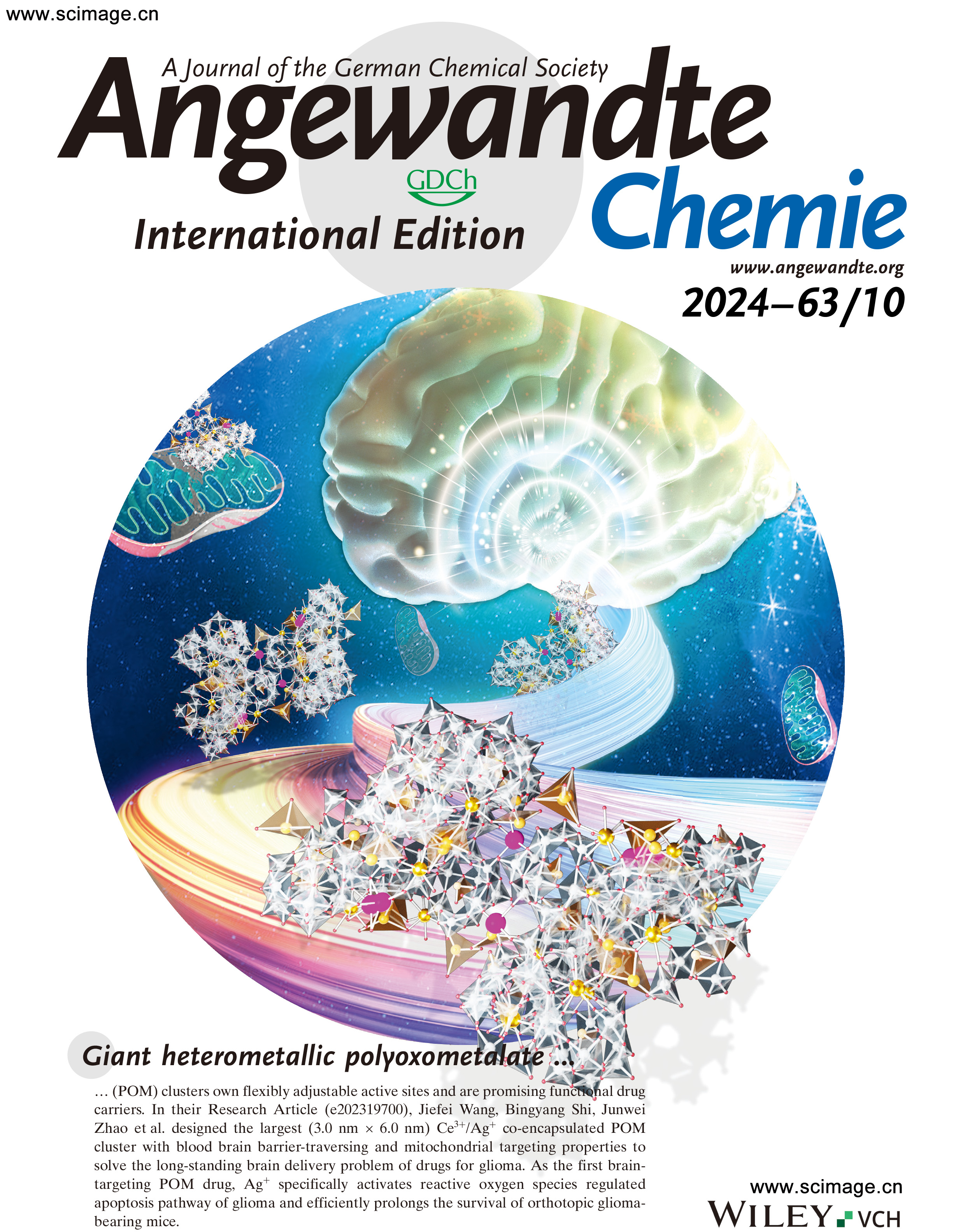 Angew Chem Int Ed - 2024 - Song - Back Cover  A Giant Heterometallic Polyoxometa.jpg