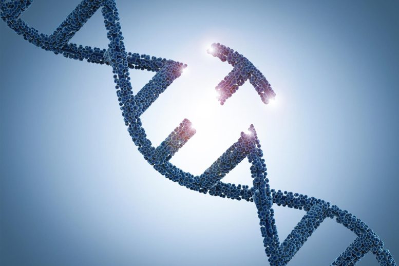 DNA-Genetic-Editing-Concept-777x518.jpg