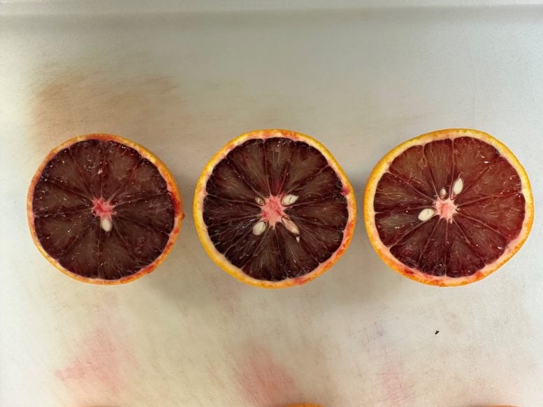 Blood-Oranges-777x583.jpg