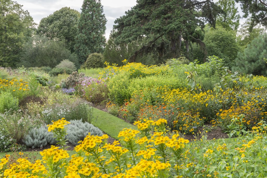 ͼ4 ֲ԰ϵͳ̳ Systematic Beds - Cambridge Botanic Garden 2.jpg