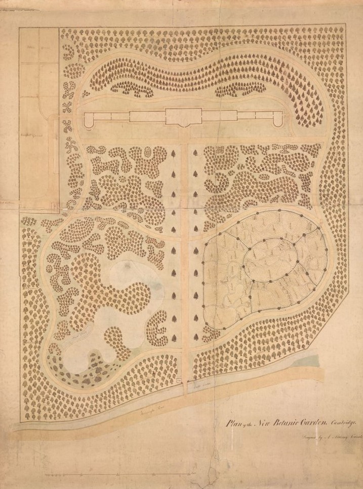 Murray设计的植物园原始地图.jpg