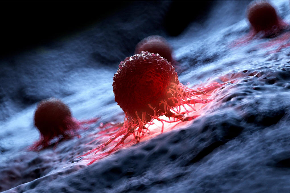 Human-Cancer-Cell-Illustration.jpg