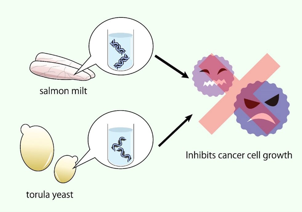 Nucleic-Acid-Compounds-Cancer-Infographic.jpg