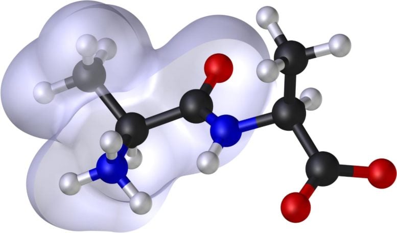 3D-Render-Molecular-Model-Alanine-Peptide-777x456.jpg